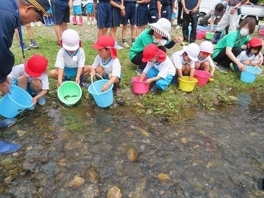 あざみ野こども園側の川で魚を捕る園児