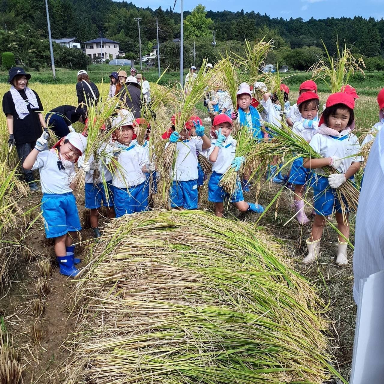 稲刈りでポーズを決めるあざみ野こども園の児童